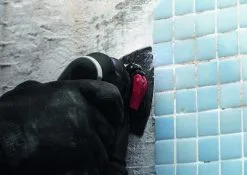 Bosch 2608900045 EXPERT Starlock Carbide Schuurplateau Multimaterial AVZ90RT2 -Bosch Winkel b40904241b391ca8673195dcd46a7349