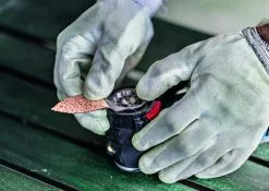 Bosch 2608900040 EXPERT Starlock Carbide Schuurvinger Multimaterial AVZ32RT4 -Bosch Winkel bfb6724cf3dd48d71b8b563e6631421c